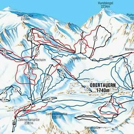 Dom wakacyjny Alpenhaus Sunnyside *